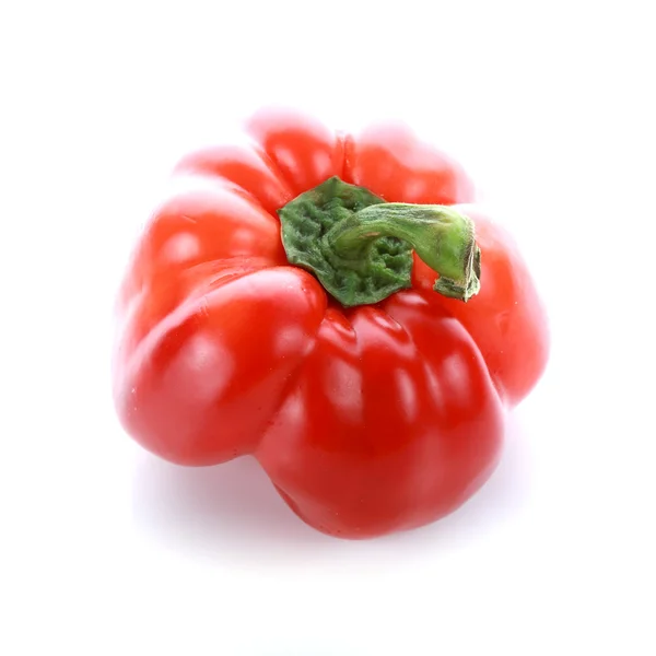 Pepper on white background Royalty Free Stock Photos