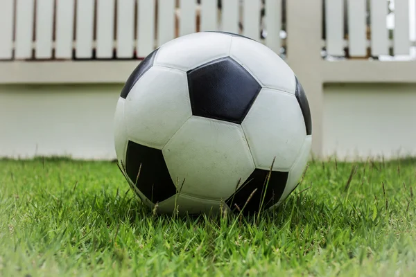 Soccer ball on green grass — Stock Photo, Image