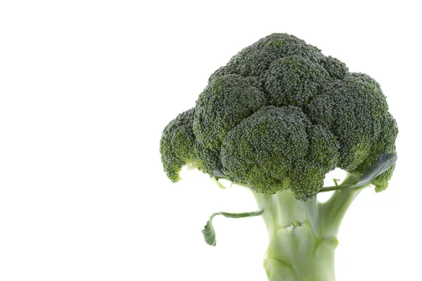 Broccoli isolated on white background — Stock Photo, Image