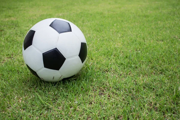 Voetbal op groen gras — Stockfoto