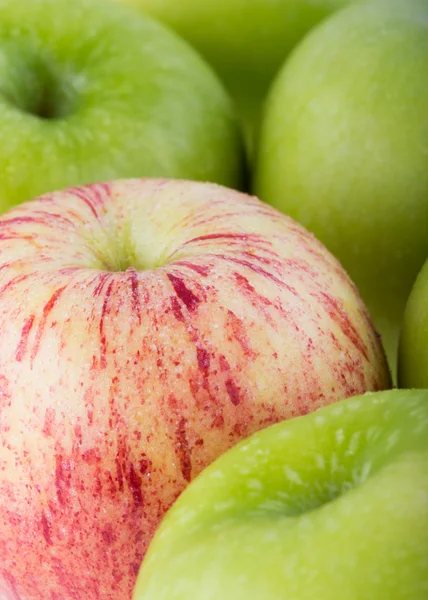 Nahaufnahme von Apfelfrüchten mit Wassertropfen — Stockfoto