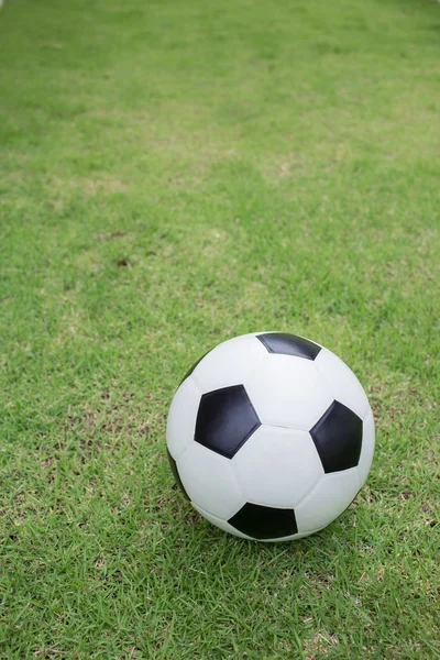 Yeşil çimlerde futbol topu
