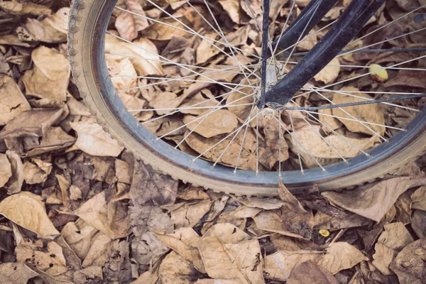 Bicicleta y otoño hojas secas caen al suelo — Foto de Stock