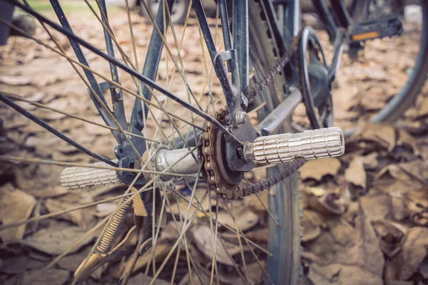 自行车和秋天的干树叶掉在地上 — 图库照片