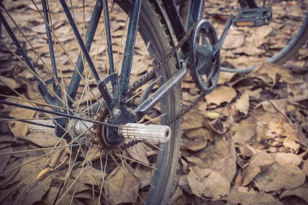 Bicicleta e outono folhas secas caem no chão — Fotografia de Stock