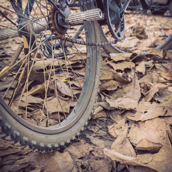 Bicicleta e outono folhas secas caem no chão — Fotografia de Stock