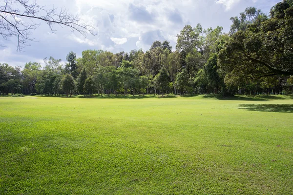 Gräsmatta på golfbanan, grönt gräs fält i parken — Stockfoto