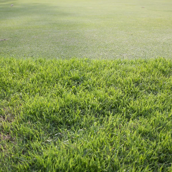 Champ d'herbe verte du terrain de golf, fond de sport — Photo