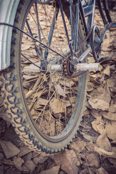 Vélo et automne feuilles sèches tombent sur le sol — Photo