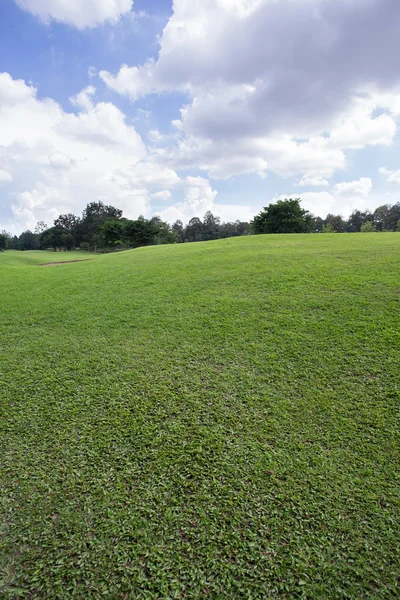 Gramado do campo de golfe, campo de grama verde no parque — Fotografia de Stock