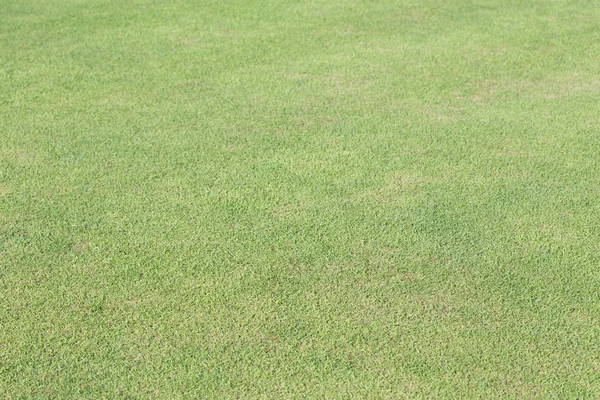 Zielona trawa pole sport gry — Zdjęcie stockowe