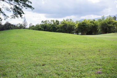 golf sahası, yeşil çim alanın parkta çim