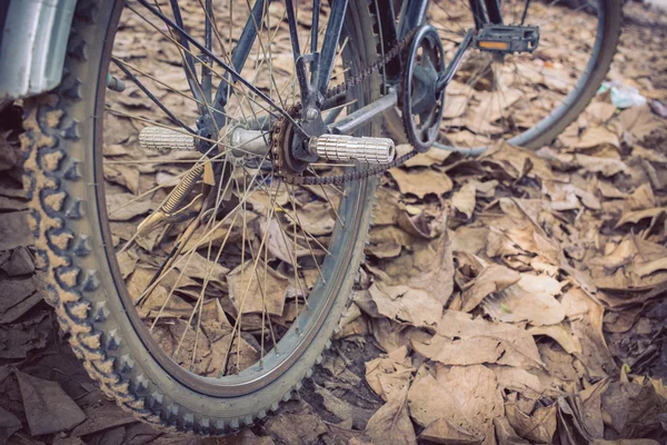 Bicicleta y otoño hojas secas caen al suelo —  Fotos de Stock