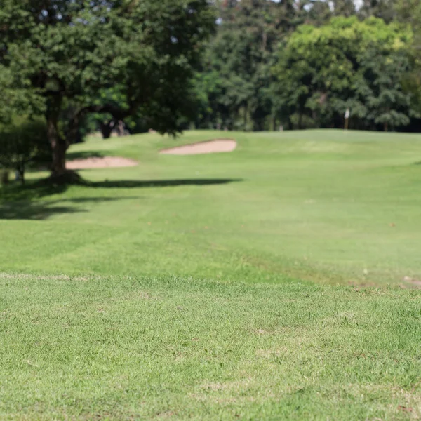 Gräsmatta på golfbana — Stockfoto