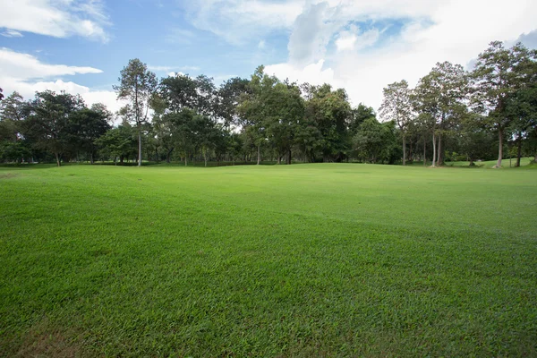 Gräsmatta på golfbanan, grönt gräs fält i parken — Stockfoto