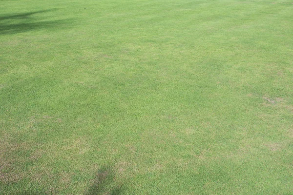 Green grass field of sport playing area — Stock Photo, Image