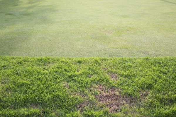 Champ d'herbe verte du terrain de golf, fond de sport — Photo
