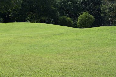 golf sahası, yeşil çim alanın parkta çim