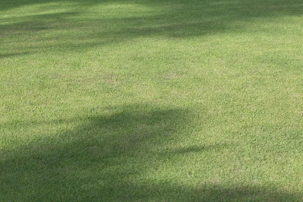 スポーツ プレイ領域の緑の芝生フィールド — ストック写真