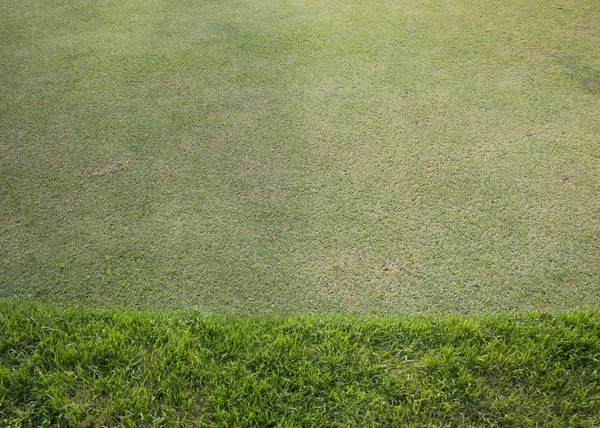 Groen grasveld van golfbaan, sport achtergrond — Stockfoto