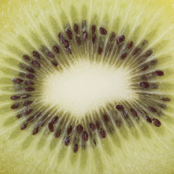 Kiwi-Früchte, Nahaufnahme Bild — Stockfoto