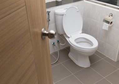 white flush toilet in modern bathroom interior clipart