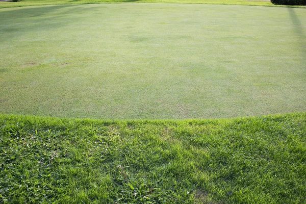 Campo de grama verde do campo de golfe, fundo do esporte — Fotografia de Stock