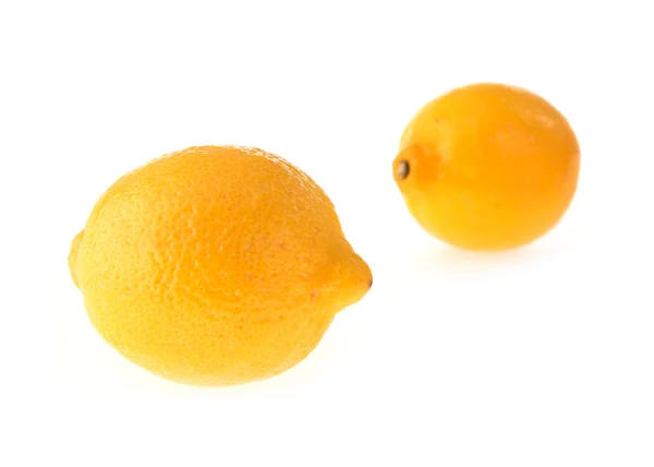 Zitronenfrucht sauer isoliert auf weißem Hintergrund — Stockfoto
