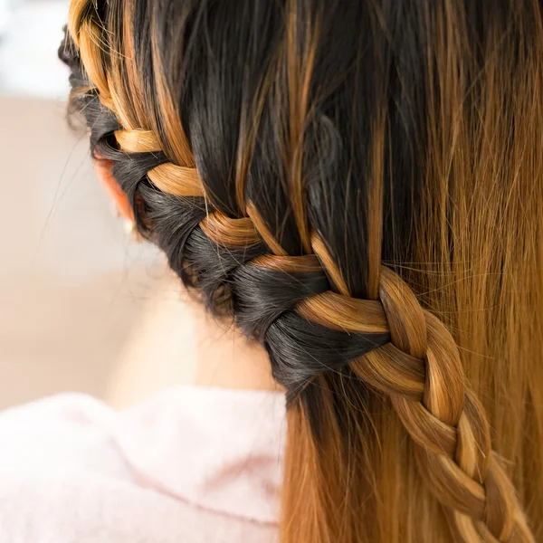Longue tresse créative coiffure brune dans la beauté du salon — Photo