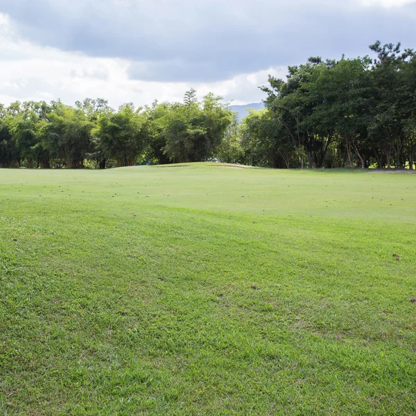 Trawnik golf course, zielone pola trawa w parku — Zdjęcie stockowe