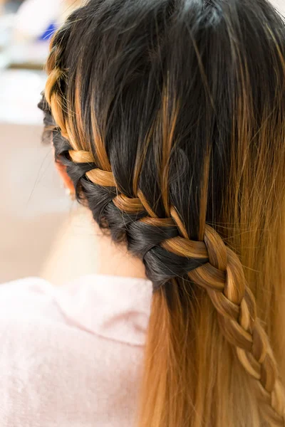 Longue tresse créative coiffure brune dans la beauté du salon — Photo