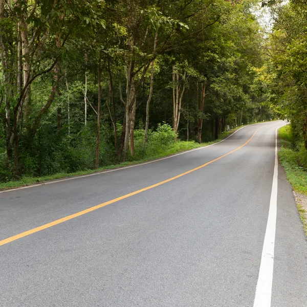 Route asphaltée chemin vide — Photo