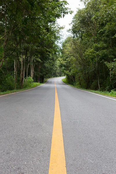 Camino de asfalto camino vacío — Foto de Stock