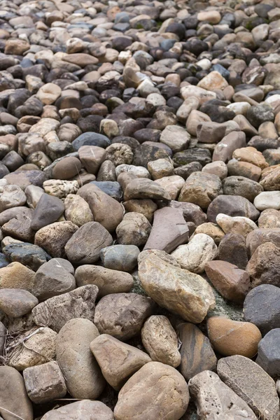 Çakıl taşı dokusu arkaplanı — Stok fotoğraf