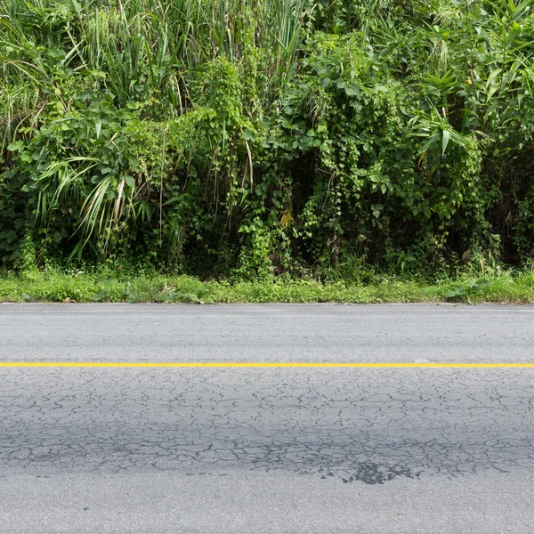 Asfalto negro camino vacío — Foto de Stock