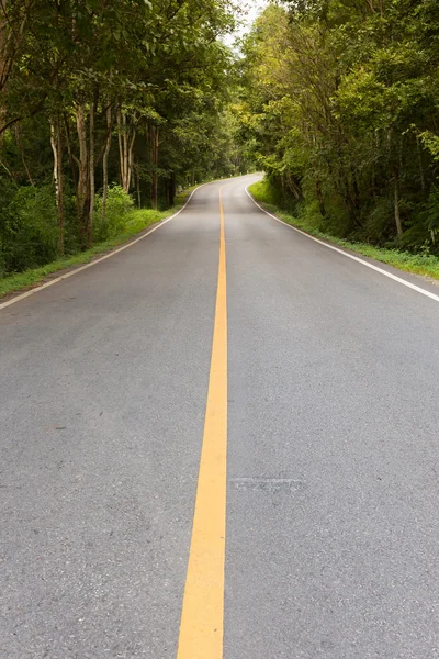 Asfaltová silnice tak prázdná — Stock fotografie