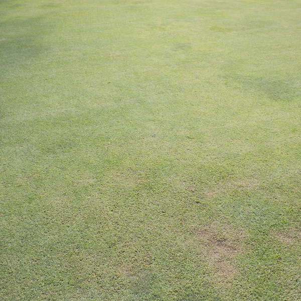 Campo di erba verde del campo da golf, sfondo sportivo — Foto Stock