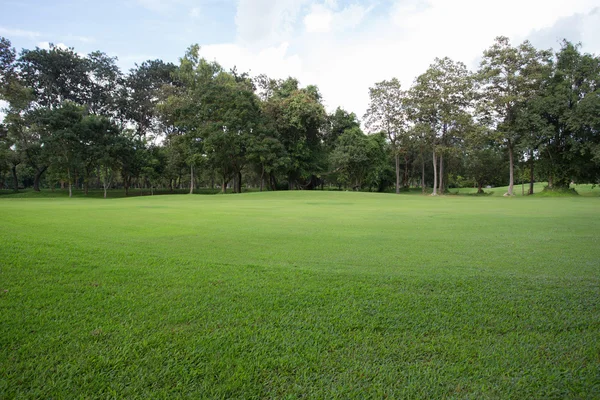 Campo de hierba verde del área de juego del deporte —  Fotos de Stock