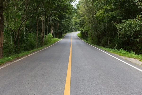 Asfalt yol yol boş — Stok fotoğraf