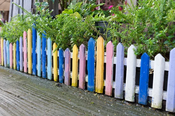 Colourful wood fence in small garden — Stock Photo, Image