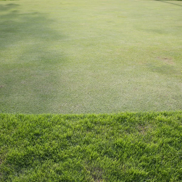 Campo de grama verde do campo de golfe, fundo do esporte — Fotografia de Stock