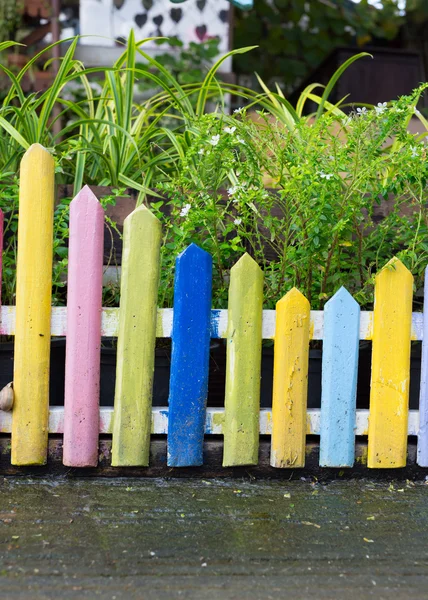 Cerca de madeira colorida em pequeno jardim — Fotografia de Stock