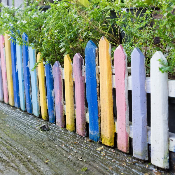 Colourful wood fence in small garden — Stock Photo, Image
