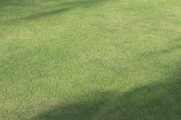 Зеленая травяная площадка для спортивных игр — стоковое фото