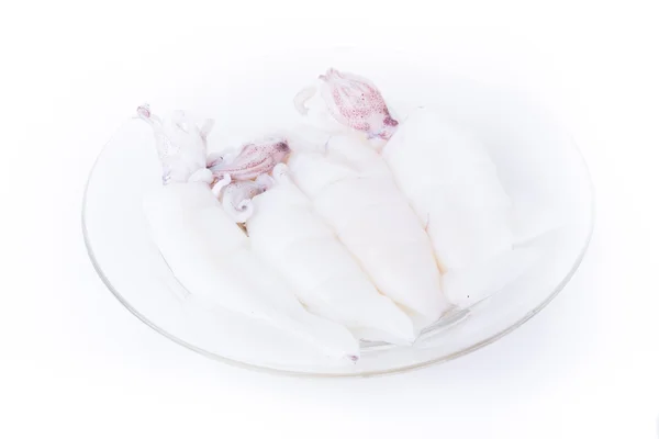 Weißer Tintenfisch in Scheiben geschnitten auf Teller — Stockfoto