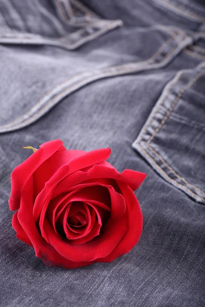 Röd ros blomma på svarta jeans denim konsistens — Stockfoto