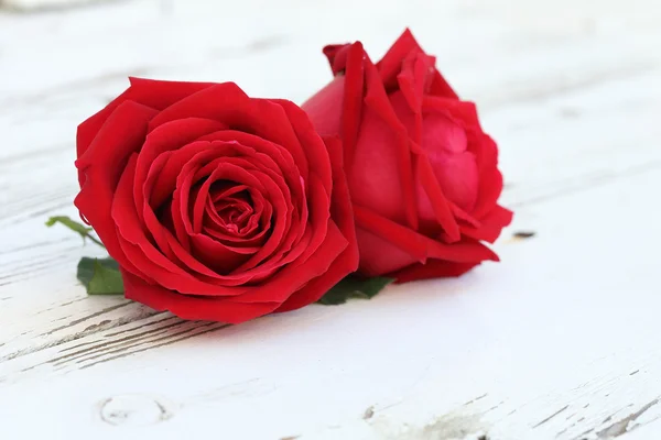 Flor rosa roja sobre fondo de madera blanca — Foto de Stock