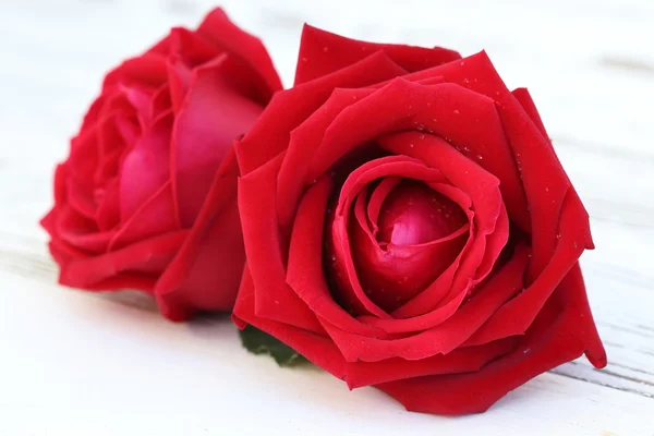 Czerwony kwiat róży na białym tle drewna — Zdjęcie stockowe