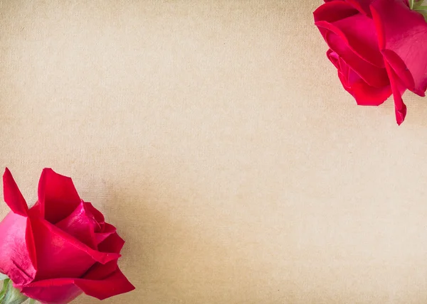 红色玫瑰花在空白纸张上的页的创意你消息，te — 图库照片