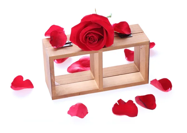 Estante de madera decorado con flores de rosas rojas aisladas en bac blanco — Foto de Stock